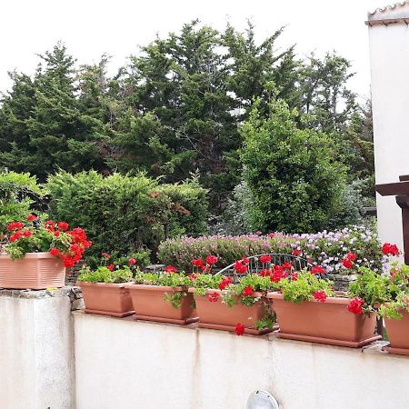 Villino Messina Apartment ซานวิโต โลคาโป ภายนอก รูปภาพ