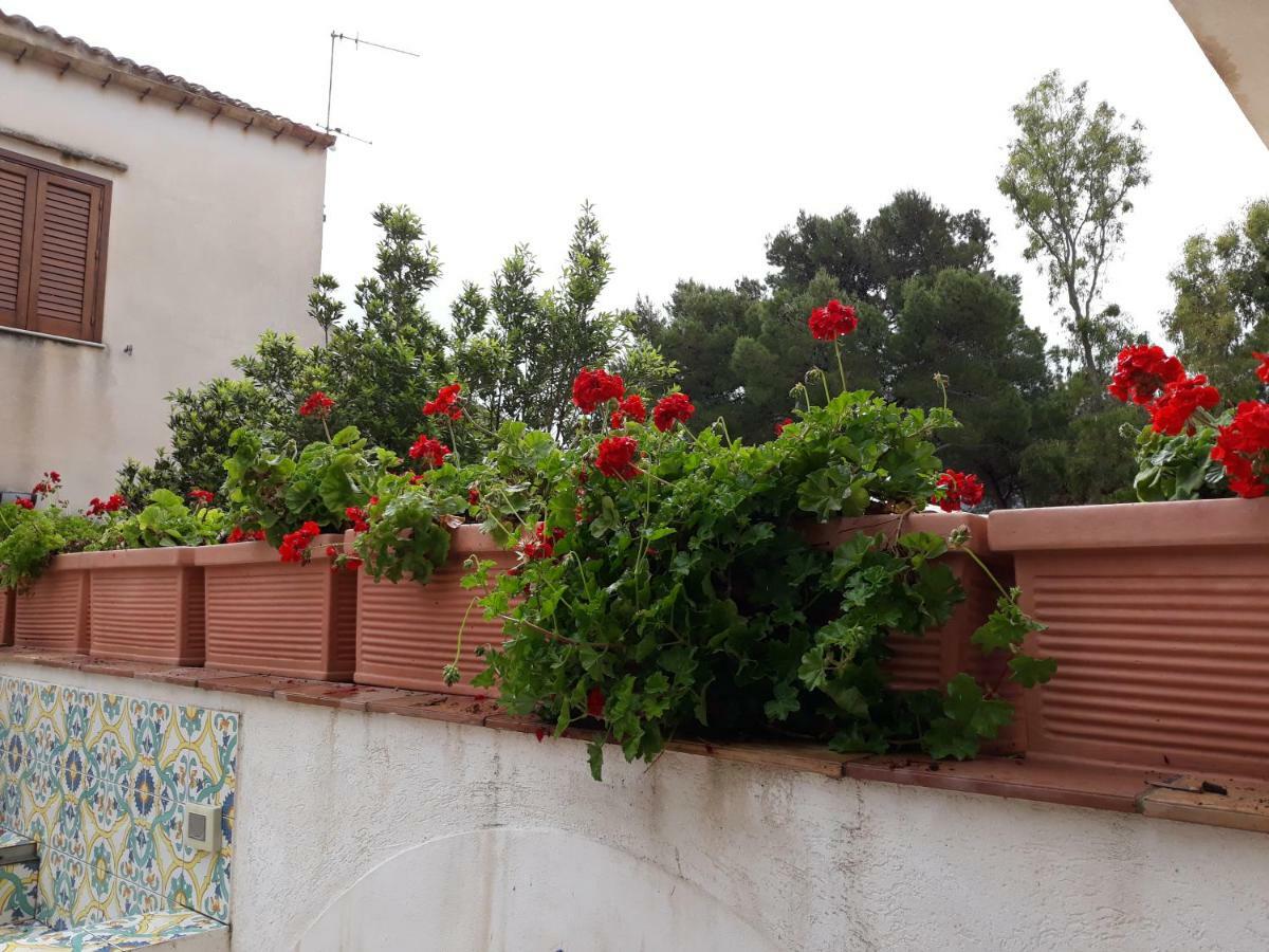Villino Messina Apartment ซานวิโต โลคาโป ภายนอก รูปภาพ